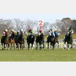 昨年は牝馬がワン・ツー