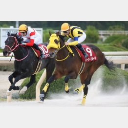 兵庫チャンピオンシップで重賞制覇