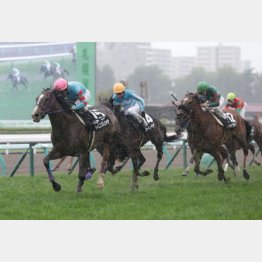 昨夏の小樽特別勝ち