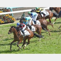 昨年3月に2勝クラスをV