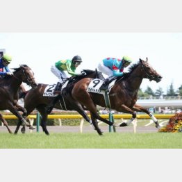この舞台で1勝クラスを卒業