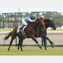障害2戦目で連対(奥)