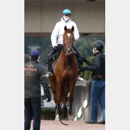荒れ馬場も得意!?