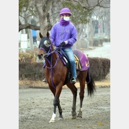 反撃態勢は整った
