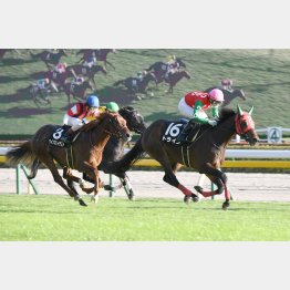 2走前は大外一気