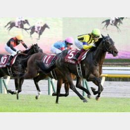 富士Sで重賞初制覇