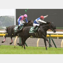 エプソムCで初タイトル