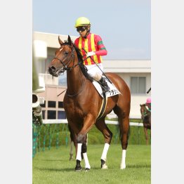 藤岡推しのクラシックココア