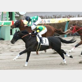 脚質的に東京替わりは好材料