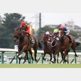 芙蓉Sは完勝だった