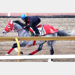 直前はCウッドで1F12秒1