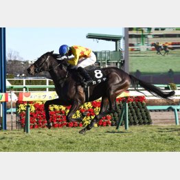 若潮Sは1分32秒9の好時計勝ち
