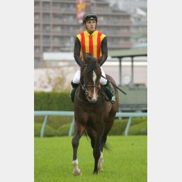 マイルは歓迎