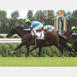 新馬戦は上がり34秒9で差し切り