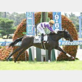 新潟マイルで初勝利