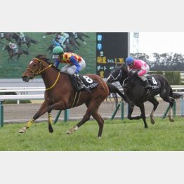 斑鳩Sは2馬身半差V