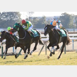 3年ぶりの先頭ゴールインを狙う
