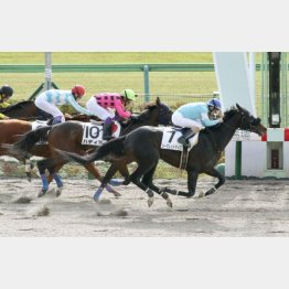 1勝クラスを2戦でクリア