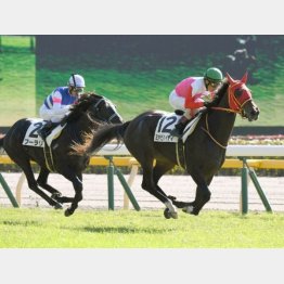 この舞台で未勝利勝ち