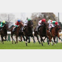 前走は中山金杯を勝った牡馬ヒシイグアス相手に食い下がって②着