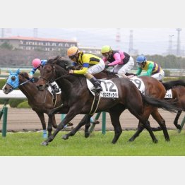 初勝利は阪神