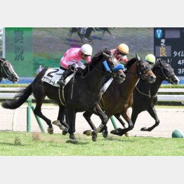 横山典を背に初勝利