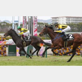 前走は同じ阪神内回り二千二百㍍で快勝