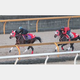 先週のCウッド追いが文句なし