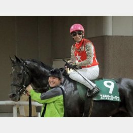 サウジアラビアRC勝ち