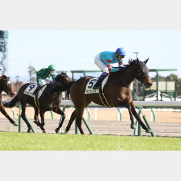 デビュー戦は圧巻