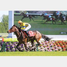 3歳時に京都新聞杯勝ち