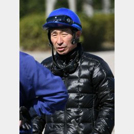 横山典、頼むゾ!