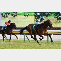 ②着に0秒4差の完勝