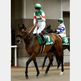 ①着エフフォーリア(横山武騎手)「凄くいい馬で期待が大きかった」