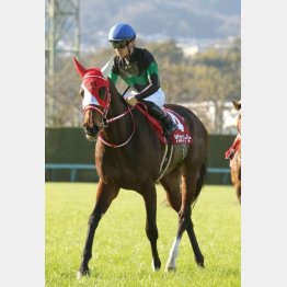 ①着ラヴズオンリーユー(川田騎手)「勝ち切ったという結果がよかった」