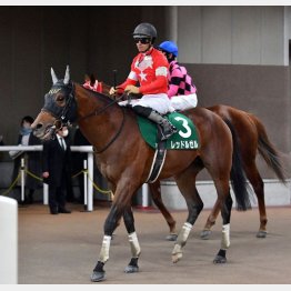 根岸Sで重賞ウイナーに