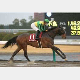 東海Sを快勝