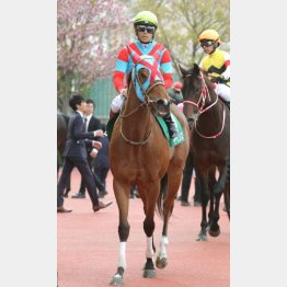アーリントンC以来の美酒を狙う