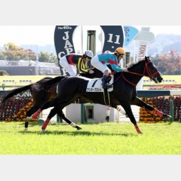 新馬戦を快勝