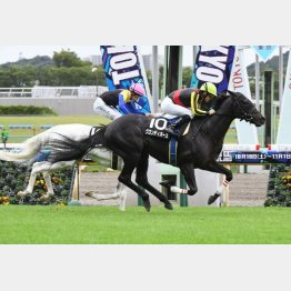 六社S勝ちでオープン入り