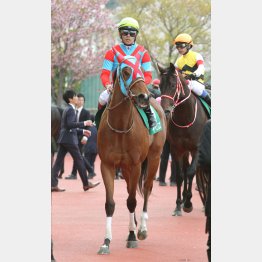 積極策で結果を出す