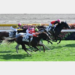 東京千四で1勝クラスを逃げ切り