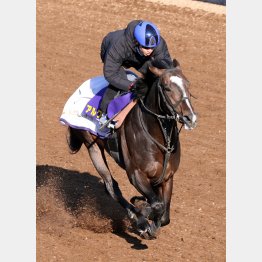 勝負仕上げだ