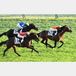 前走は上がり33秒2の瞬発力を駆使して快勝