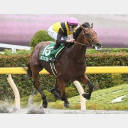 ユニコーンSを圧勝
