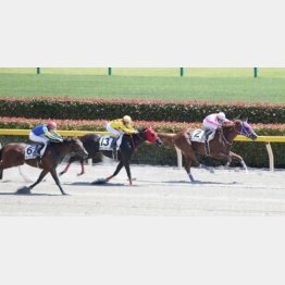 大野とのコンビで1勝クラスを快勝