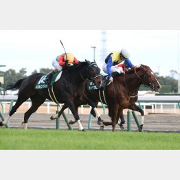 中日新聞杯で重賞初制覇