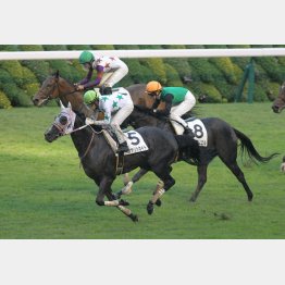 2勝級Vは鮮やか