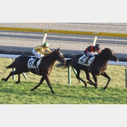 2勝クラスを府中で快勝