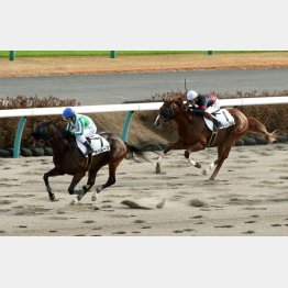 前走の勝ち時計は古馬2勝クラスを上回る